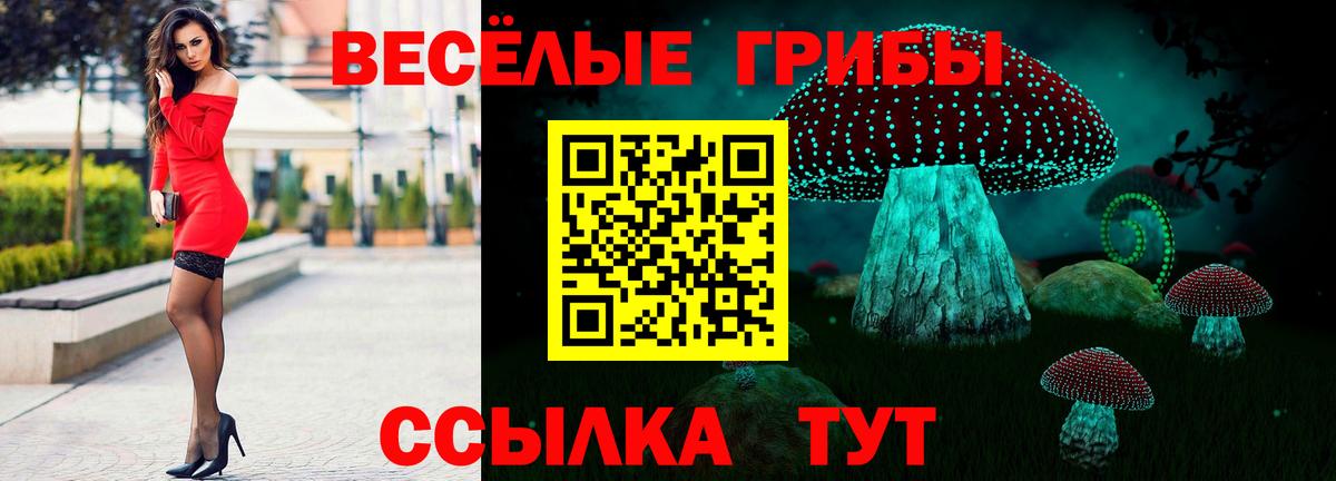 Галлюциногенные грибы Cubensis  Вход с VPN  где можно купить   Абинск 